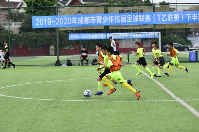 2024赛季BIG5教练风云：国安换帅最多，海港最稳定